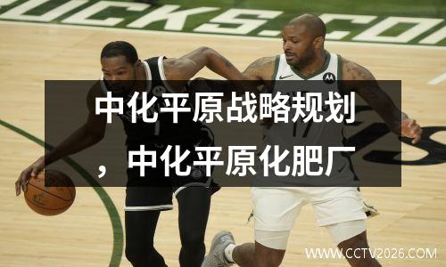 中化平原战略规划，中化平原化肥厂
