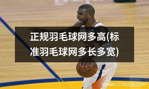 正规羽毛球网多高(标准羽毛球网多长多宽)