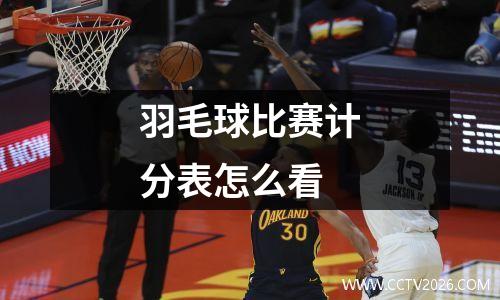 羽毛球比赛计分表怎么看