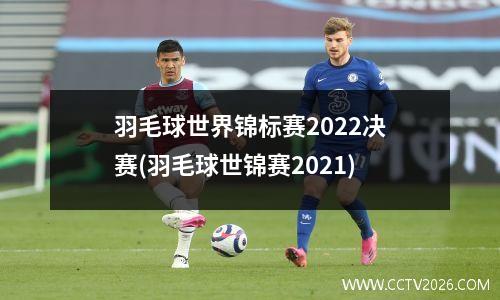 羽毛球世界锦标赛2022决赛(羽毛球世锦赛2021)