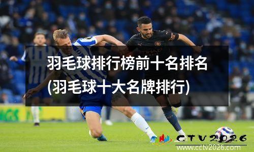 羽毛球排行榜前十名排名(羽毛球十大名牌排行)
