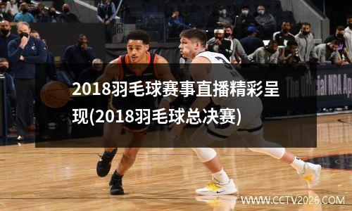 2018羽毛球赛事直播精彩呈现(2018羽毛球总决赛)