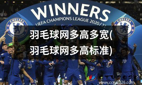 羽毛球网多高多宽(羽毛球网多高标准)