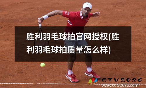 胜利羽毛球拍官网授权(胜利羽毛球拍质量怎么样)