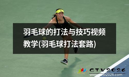 羽毛球的打法与技巧视频教学(羽毛球打法套路)