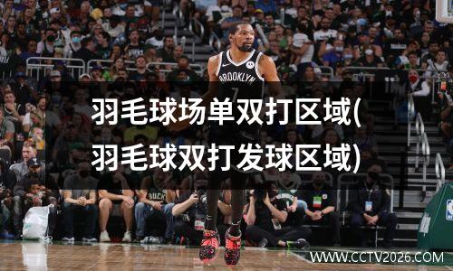 羽毛球场单双打区域(羽毛球双打发球区域)