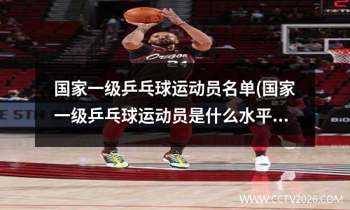 国家一级乒乓球运动员名单(国家一级乒乓球运动员是什么水平)