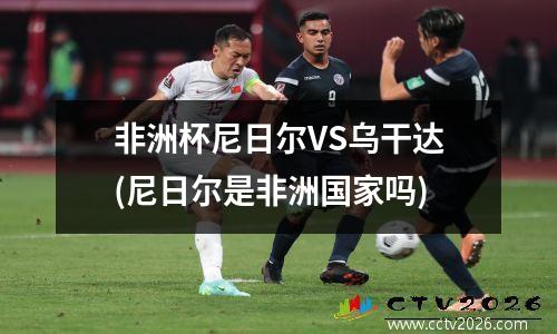 非洲杯尼日尔VS乌干达(尼日尔是非洲国家吗)