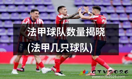法甲球队数量揭晓(法甲几只球队)