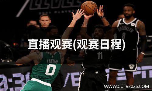 直播观赛(观赛日程)
