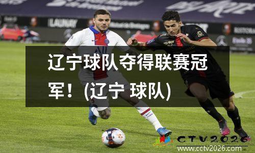 辽宁球队夺得联赛冠军！(辽宁 球队)