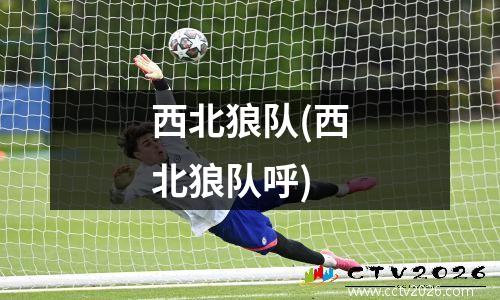 西北狼队(西北狼队呼)