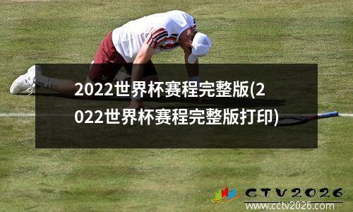 2022世界杯赛程完整版(2022世界杯赛程完整版打印)
