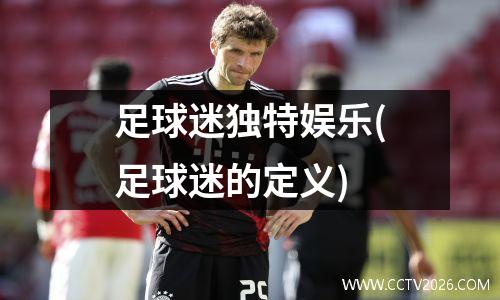 足球迷独特娱乐(足球迷的定义)