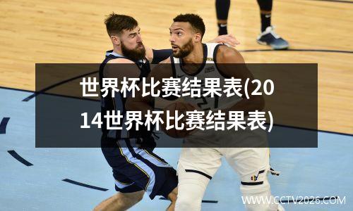 世界杯比赛结果表(2014世界杯比赛结果表)