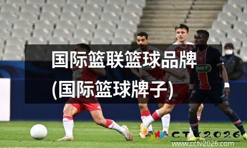 国际篮联篮球品牌(国际篮球牌子)
