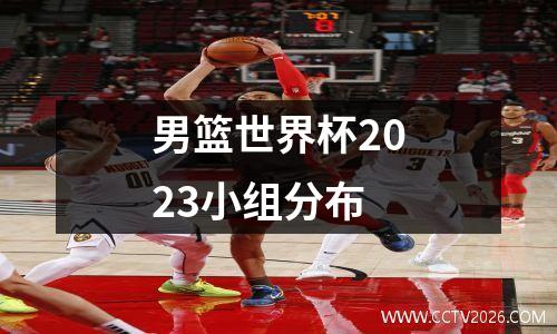 男篮世界杯2023小组分布