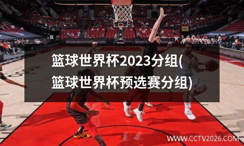 篮球世界杯2023分组(篮球世界杯预选赛分组)