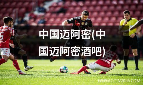 中国迈阿密(中国迈阿密酒吧)