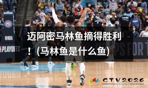 迈阿密马林鱼摘得胜利！(马林鱼是什么鱼)