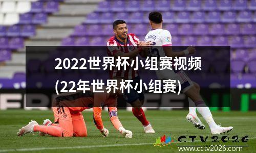 2022世界杯小组赛视频(22年世界杯小组赛)