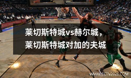 莱切斯特城vs赫尔城，莱切斯特城对加的夫城