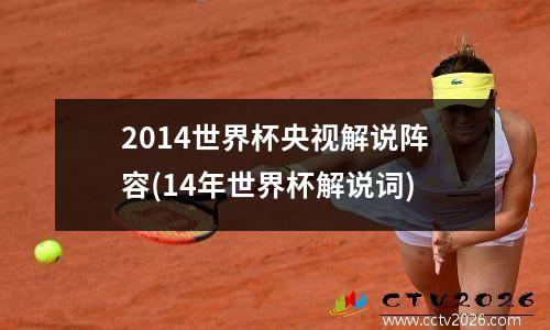 2014世界杯央视解说阵容(14年世界杯解说词)