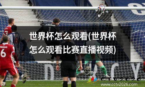 世界杯怎么观看(世界杯怎么观看比赛直播视频)