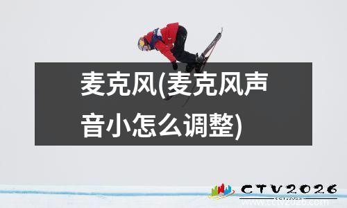 麦克风(麦克风声音小怎么调整)