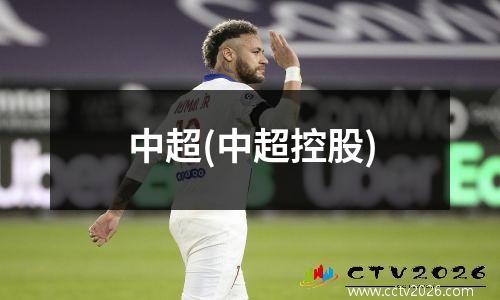 中超(中超控股)