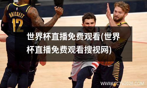 世界杯直播免费观看(世界杯直播免费观看搜视网)