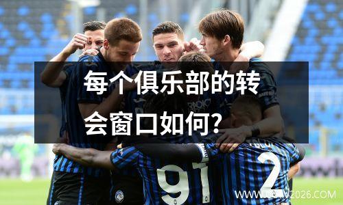 每个俱乐部的转会窗口如何?
