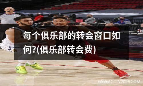 每个俱乐部的转会窗口如何?(俱乐部转会费)
