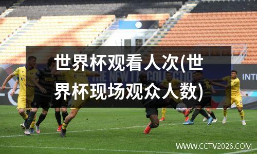 世界杯观看人次(世界杯现场观众人数)