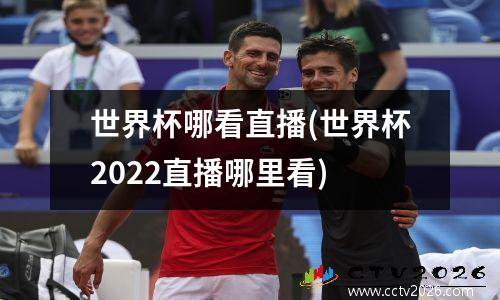 世界杯哪看直播(世界杯2022直播哪里看)
