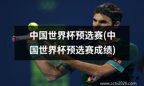 中国世界杯预选赛(中国世界杯预选赛成绩)