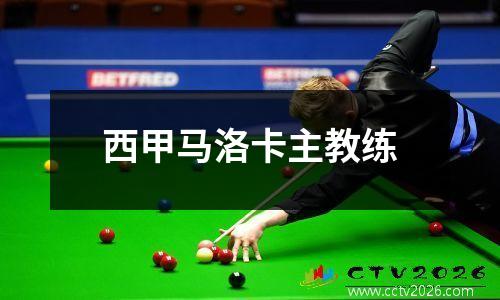 西甲马洛卡主教练
