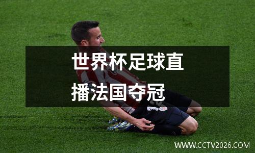 世界杯足球直播法国夺冠
