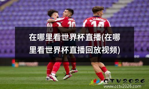在哪里看世界杯直播(在哪里看世界杯直播回放视频)