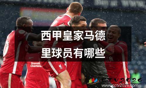 西甲皇家马德里球员有哪些