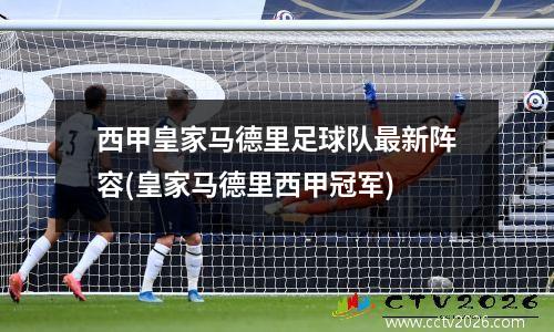 西甲皇家马德里足球队最新阵容(皇家马德里西甲冠军)