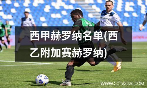 西甲赫罗纳名单(西乙附加赛赫罗纳)