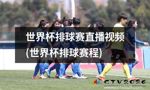 世界杯排球赛直播视频(世界杯排球赛程)