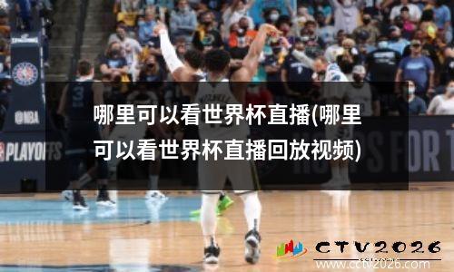 哪里可以看世界杯直播(哪里可以看世界杯直播回放视频)