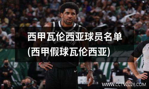 西甲瓦伦西亚球员名单(西甲假球瓦伦西亚)