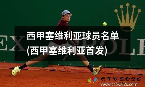 西甲塞维利亚球员名单(西甲塞维利亚首发)