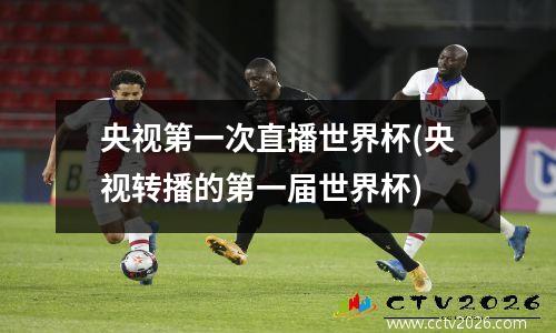 央视第一次直播世界杯(央视转播的第一届世界杯)