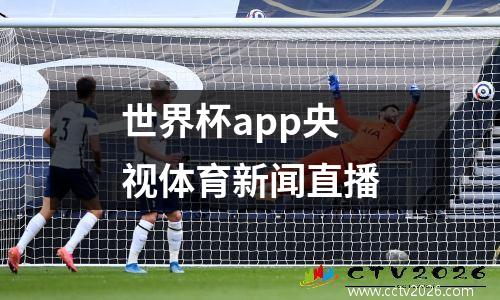 世界杯app央视体育新闻直播