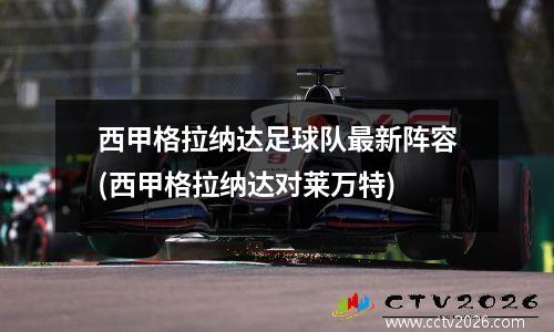 西甲格拉纳达足球队最新阵容(西甲格拉纳达对莱万特)