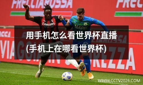 用手机怎么看世界杯直播(手机上在哪看世界杯)